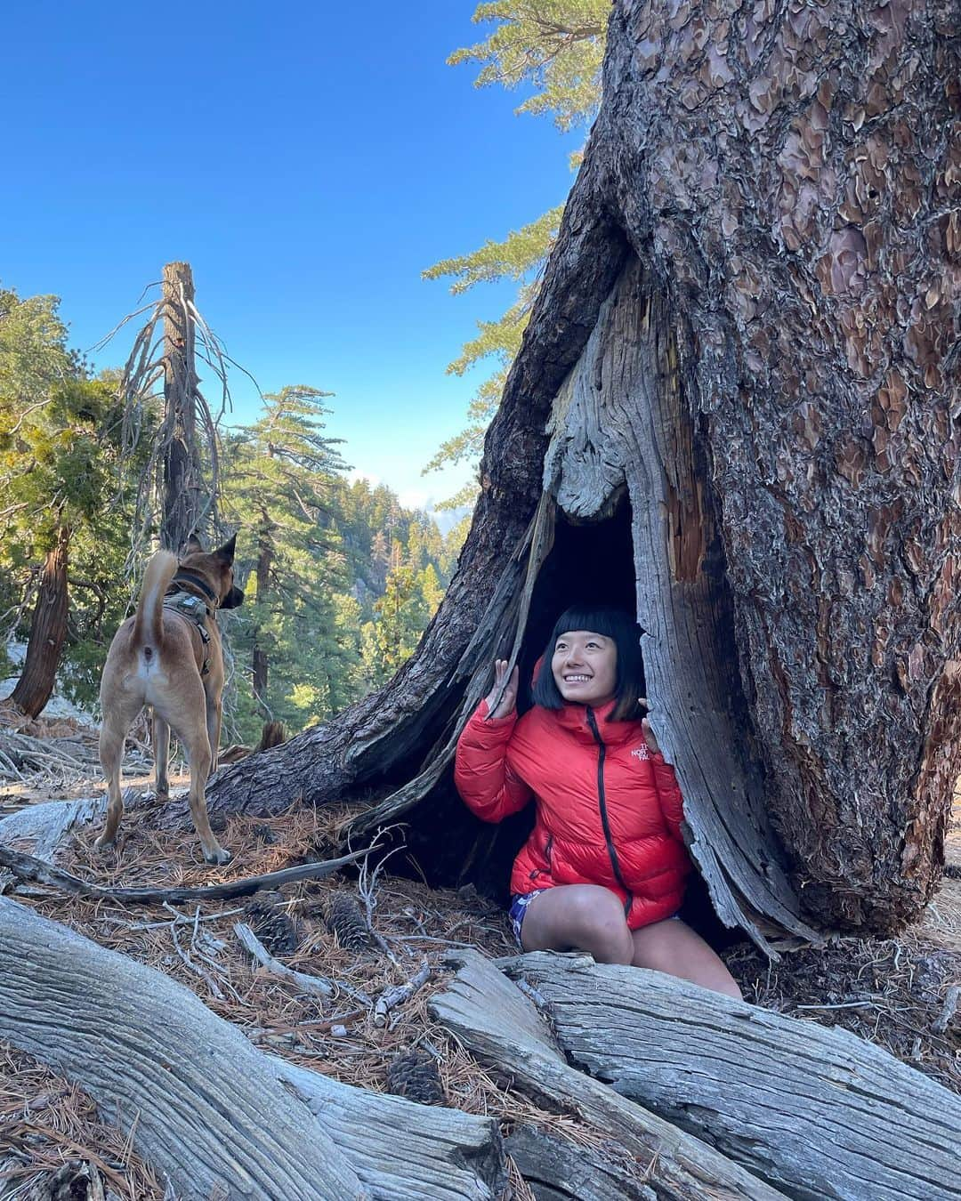 白石阿島のインスタグラム：「Full value mini trip to Black 🏔 (realised that I didn't document any climbing on my phone, but I have plenty of lichen, tree stumps, @coppersworldofficial , and frog pose photos. camcorder climbing footy is OTW 😋📹😉 courtesy of @noahsahady @earthslip ) also, shoutout to my new friend, caffeine ☕ , for helping me grind thru homework in the car 🚘」