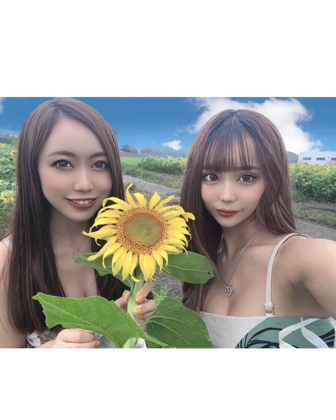 くまみゆさんのインスタグラム写真 - (くまみゆInstagram)「. . しなたんとひまわり畑行ってたやつ載せるのわしゅれてた🌻 おそろっちコーデしてたのよ٩😍۶ . . #ひまわり畑 #オソロコーデ #darich」10月11日 15時29分 - kumamiyu.24