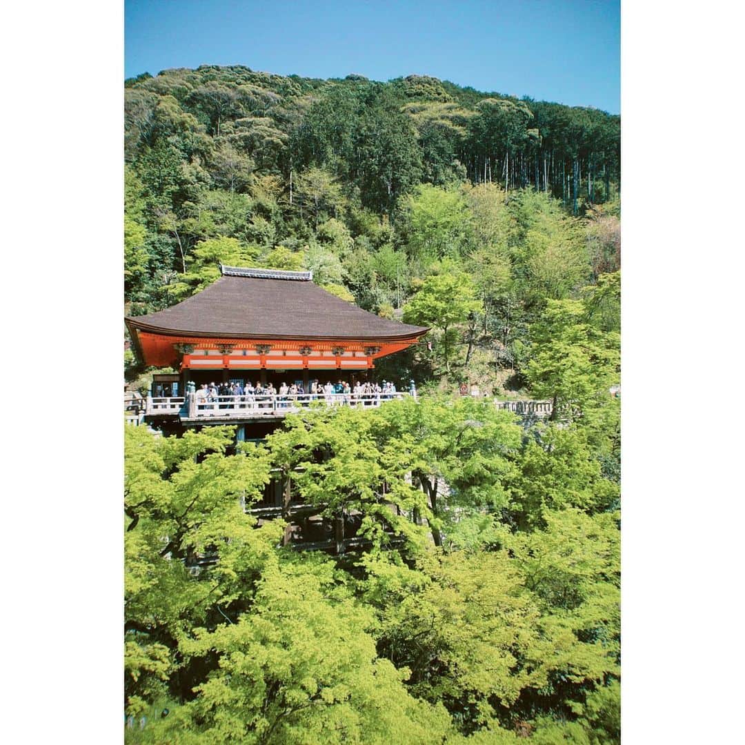 ロンモンロウさんのインスタグラム写真 - (ロンモンロウInstagram)「この前京都に仕事に行った時の写真、とても綺麗です！ また秋は紅葉を見に行きたいなぁ～ #京都  #鳥居」10月11日 17時10分 - ronmonroe_official