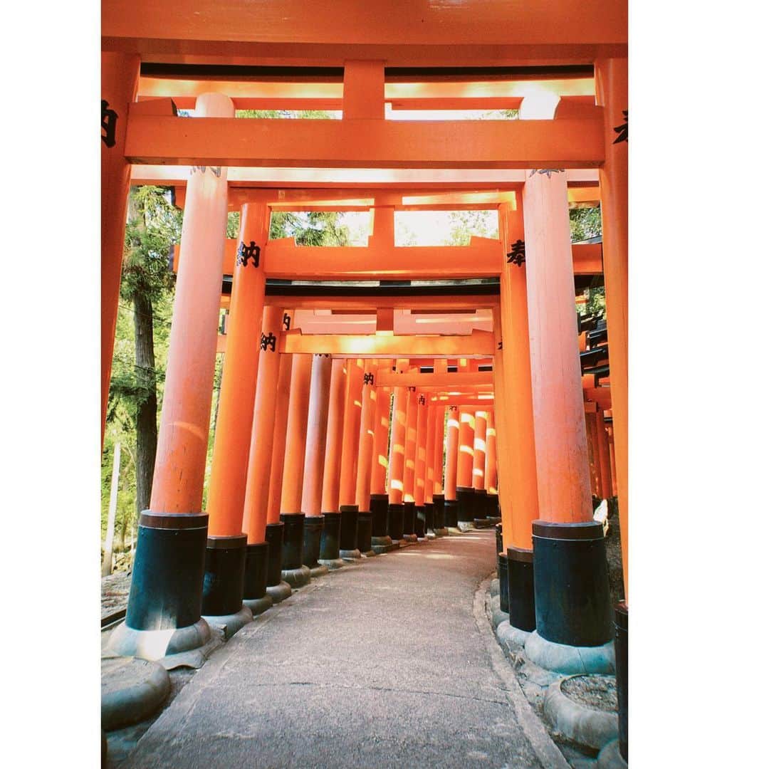 ロンモンロウさんのインスタグラム写真 - (ロンモンロウInstagram)「この前京都に仕事に行った時の写真、とても綺麗です！ また秋は紅葉を見に行きたいなぁ～ #京都  #鳥居」10月11日 17時10分 - ronmonroe_official