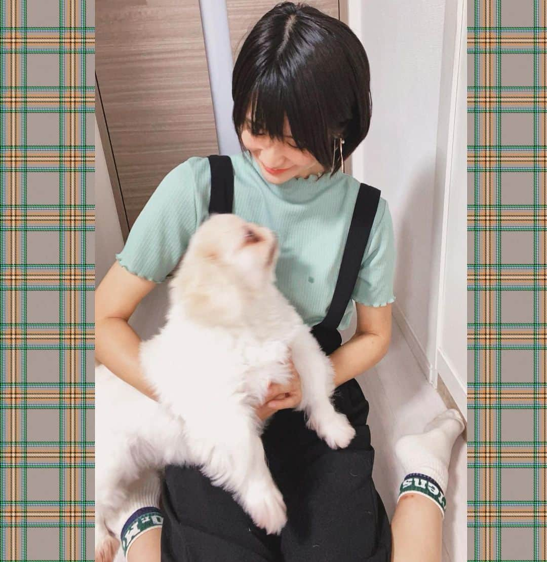 来栖うさこさんのインスタグラム写真 - (来栖うさこInstagram)「🐶  意識して私服コーデをのせよう。  _(:3」z)_🌈  今日はちゃちゃまるを連れて お出かけしたので、 動きやすい服‼️(*´∀｀*)  でも可愛いやつ(´∀｀*)  #来栖うさこ  #齧り付きたいお尻 #愛媛県産グラドル #グラドル #グラビア #ショートカット女子 #お尻 #model #cosplayer #gu #MOZ」10月11日 17時48分 - kurusu_usako