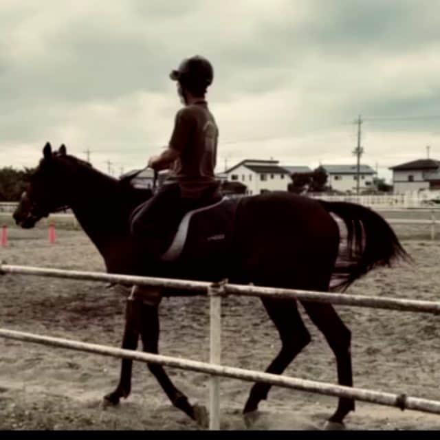 のインスタグラム：「KRCの記録　松風」