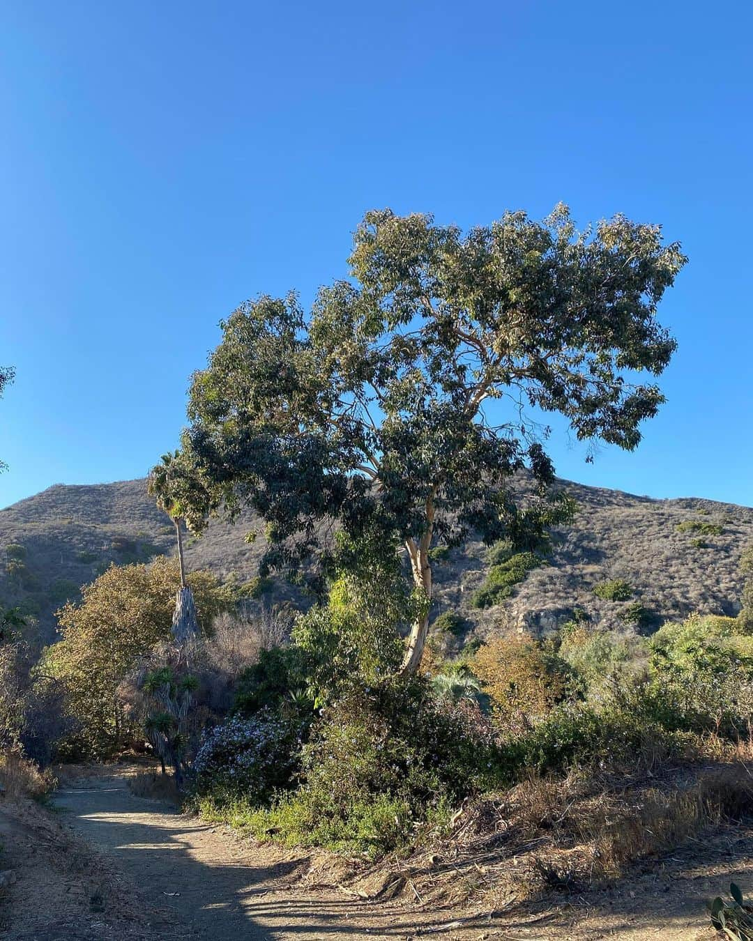 Nicky Gileさんのインスタグラム写真 - (Nicky GileInstagram)「set out on a drive for some food yesterday and this is where it took me」10月12日 2時19分 - nickygile