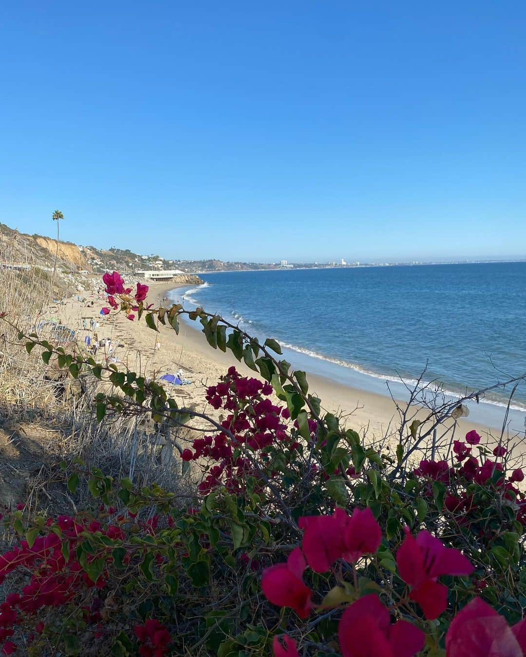 Nicky Gileさんのインスタグラム写真 - (Nicky GileInstagram)「set out on a drive for some food yesterday and this is where it took me」10月12日 2時19分 - nickygile