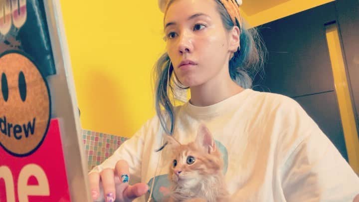 仲里依紗のインスタグラム：「きなこはYouTubeの編集のお手伝い(ほぼイタズラ)をいつもしてくれています🐈 最初はじっと画面を見てますが、すぐ飽きてキーボードに乗りイヤホンを猫パンチしてきます🙏  そして2個目は 昨日の夜、長崎日帰りロケが予想を遥かに上回るハードスケジュールでクタクタで帰宅しソファで気絶😵‍💫(本気の記憶なし)していたところに、きなこがチュッチュ攻撃をしてきてたらしく、私は記憶全くないけどよしよししていたらしい(母性)🤔盗撮者れいちゃん🐈🤳  #とりあえず髪どうした？  @nakariisa_otomodachi  お友達たちのアカウントたくさんフォローしてくれてみんなありがとね🐕🐈🥺✨❤️」