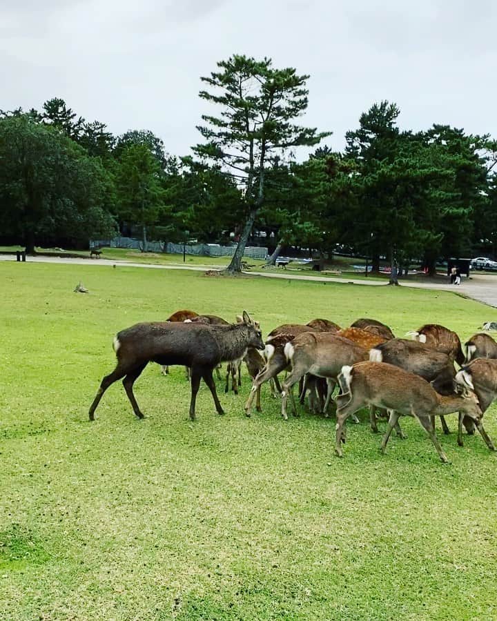遠山正道のインスタグラム