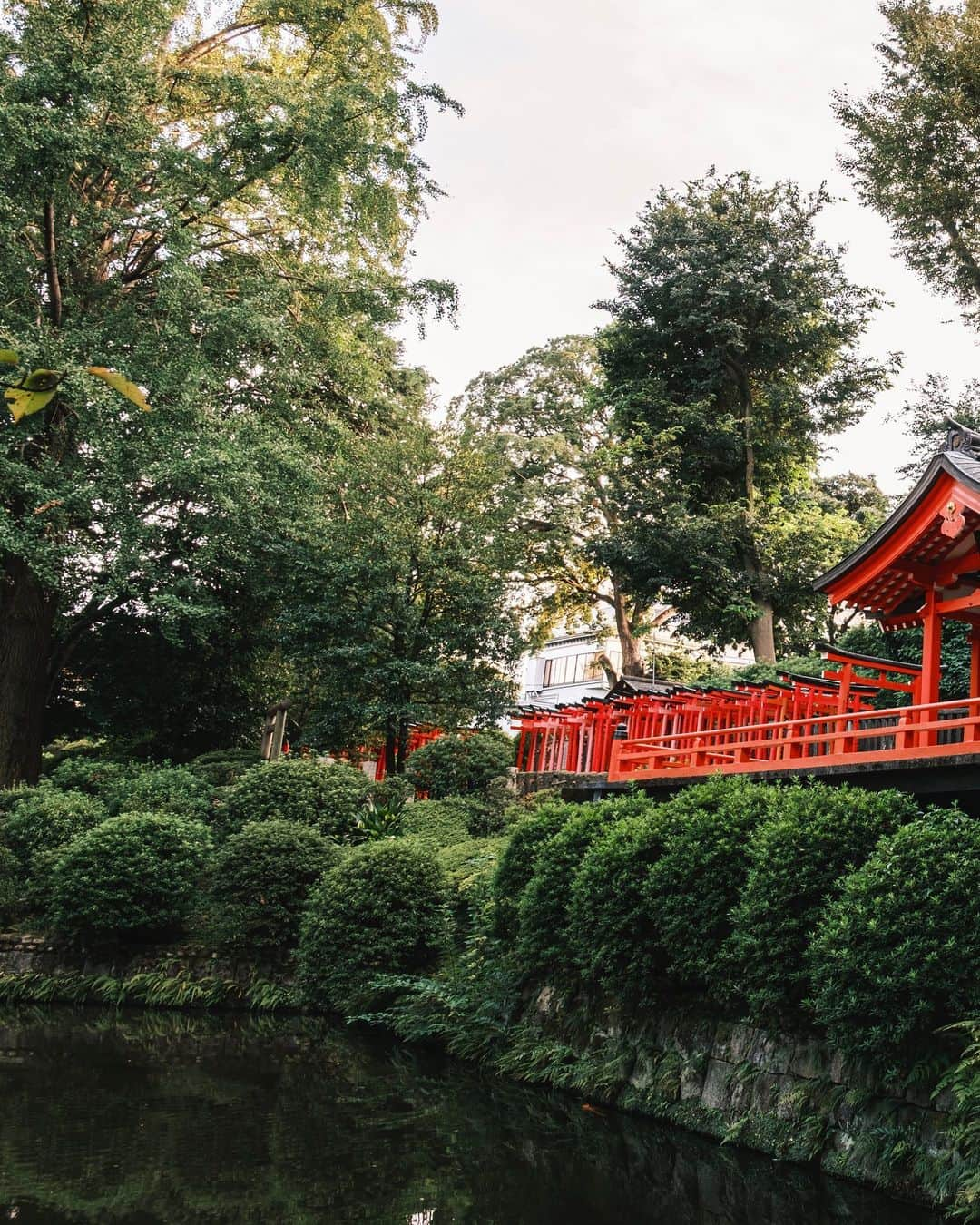 SHOCK EYEさんのインスタグラム写真 - (SHOCK EYEInstagram)「神社とのお付き合いは、 人付き合い一緒。  ふと思い立ったら、逢いに行こう。  だって一度きりで終わらせるなんて寂しいじゃん。  願い事をする時だけ逢いに行くのも、違うじゃん。  それに時々、逢いにきてくれたらきっと相手も嬉しいはず。  先日も、しっかりあの日の感謝を伝えに、根津神社、乙女稲荷神社に行ってきたよ✨⛩  僕にはこうして定期的に通う神社さんが沢山ある。  ホッとできる場所がある。 今の自分を報告したい場所がある。  そんな場所を持つだけで毎日の生活がほんの少しだけ豊かに彩られていくのがわかるんだ。  神恩感謝。  あの日に見た景色と、今日見た景色。 何が違うだろう？  そんなことを静かに感じながら手を合わせたよ🙏  #根津神社 #乙女稲荷神社 #神社 #shrine #東京十社」10月12日 9時47分 - shockeye_official