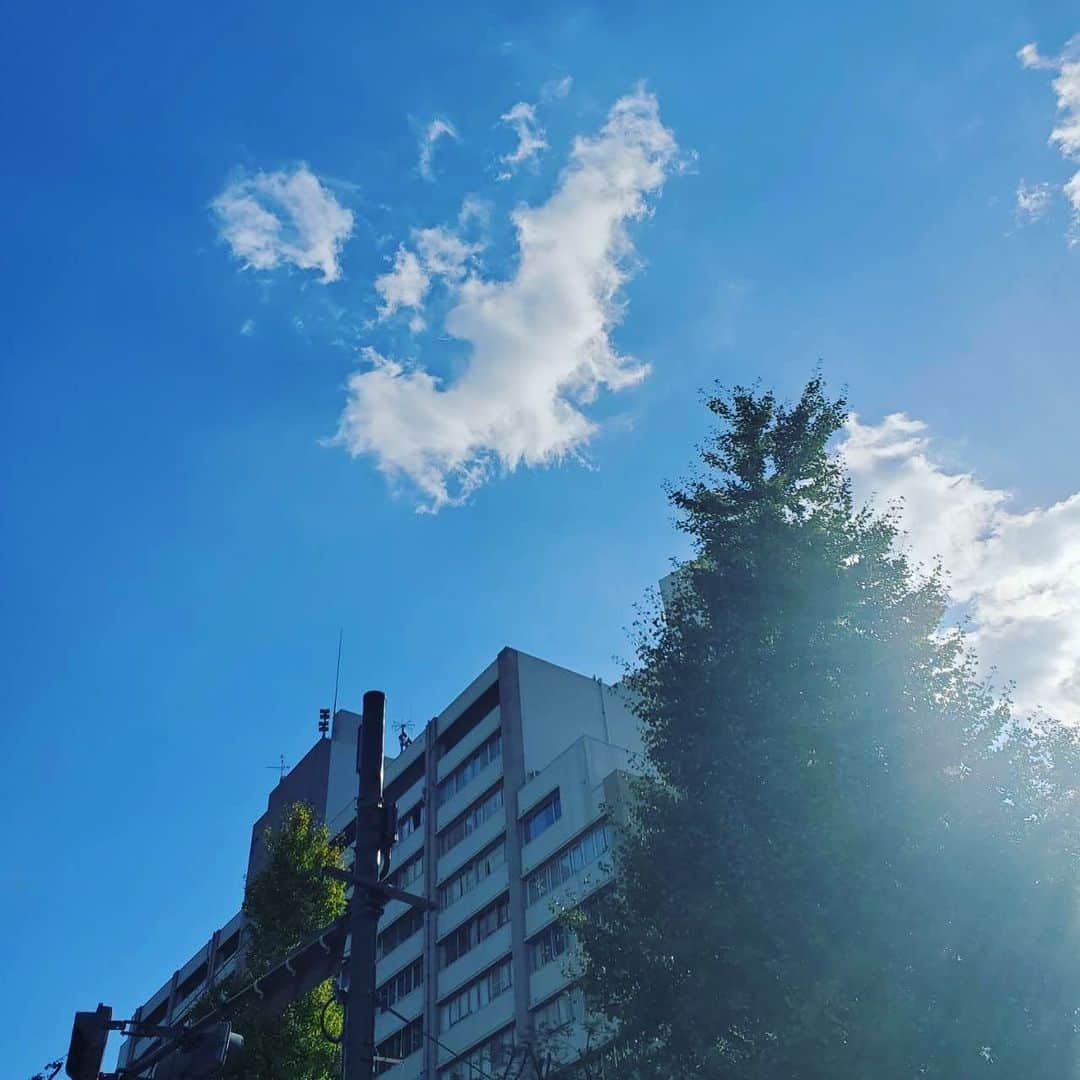 中江有里さんのインスタグラム写真 - (中江有里Instagram)「昨日の空  ワニのような、トカゲのような雲」10月12日 12時47分 - yurinbow1226