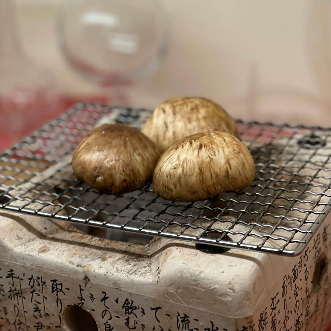 木本泉のグルメインスタ