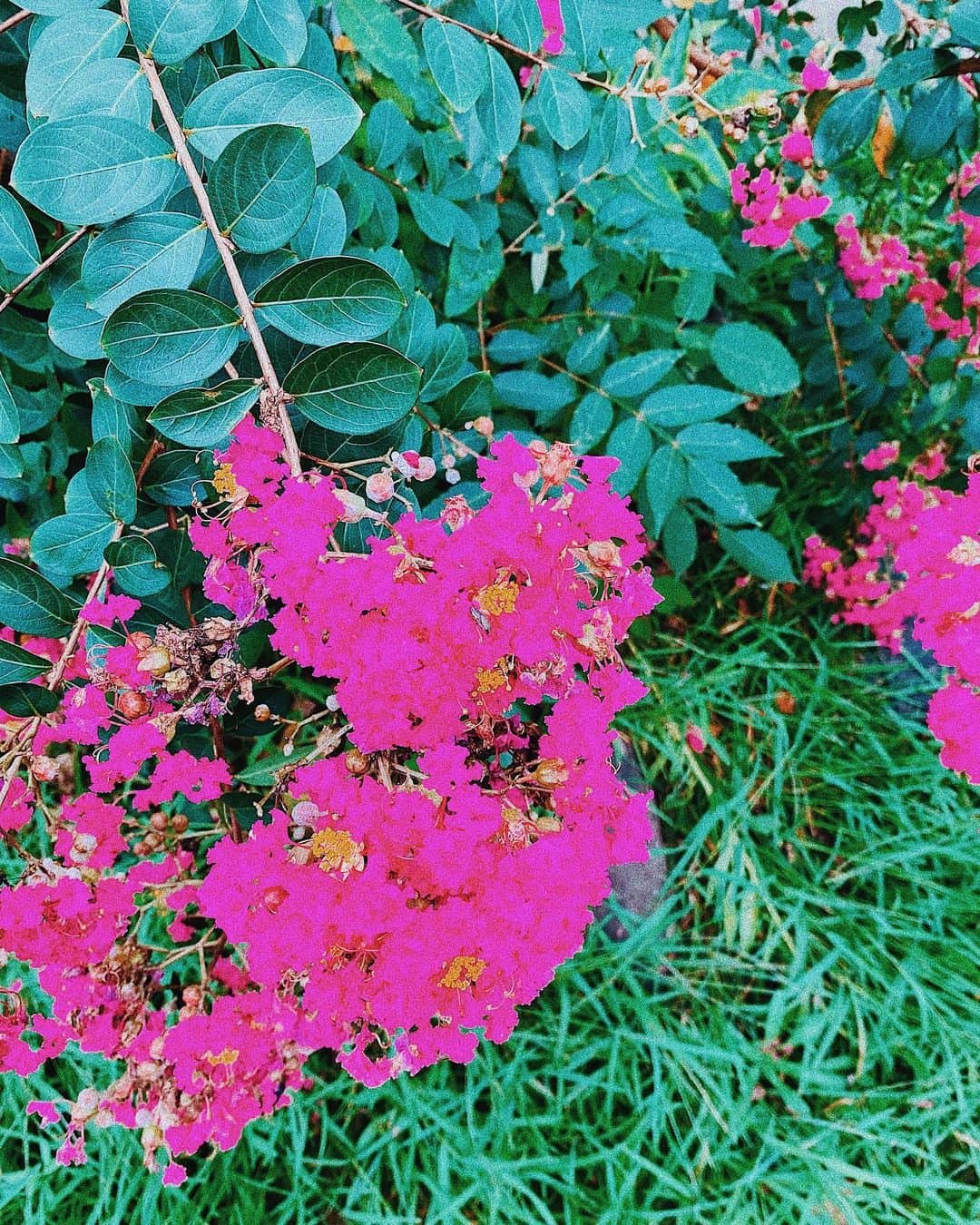 のインスタグラム：「💐 今日も1日お疲れ様です☺︎ 暑かったり寒かったり体調崩し易い季節ですが大丈夫ですか？ 私は元気モリモリで毎日撮影してますー！  私はYunaFamilyからのお手紙や コメントに活力貰ってます✨  みなさんも言葉のサプリを大切に 健やかに過ごしてくださいね💊🤍  YunaFamilyが素敵な言葉のサプリ沢山くれたんだ〜 だから頑張れるよ〜いつもありがとう☺︎」