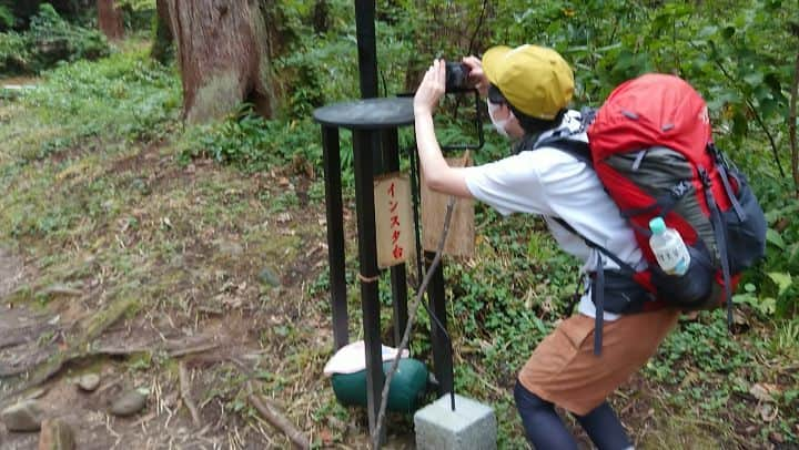 桜花のインスタグラム：「こんにちはでございマウンテン🗻🌷  羽黒山には、カメラやスマホを置けるインスタ台なるものが所々にありました🍀🍀🍀  #羽黒山  #インスタ台 #山登り  #山歩き #インスタブームが羽黒山にも」