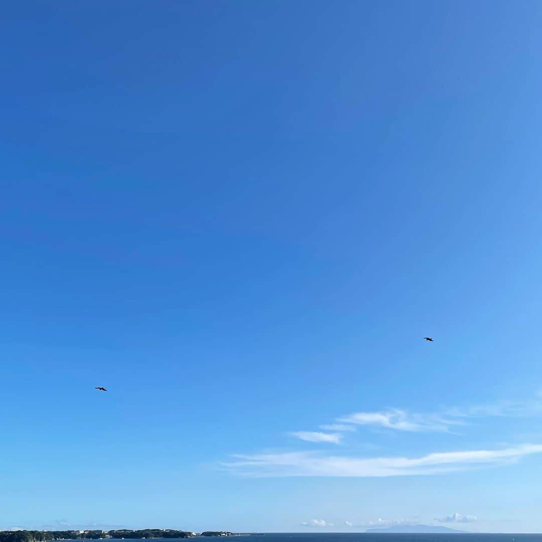 大野いとのインスタグラム：「快晴だったときの空。明日は雨も晴れるみたい✨ 眺めるだけで気持ち良い☺︎ #鳥が飛んでる」