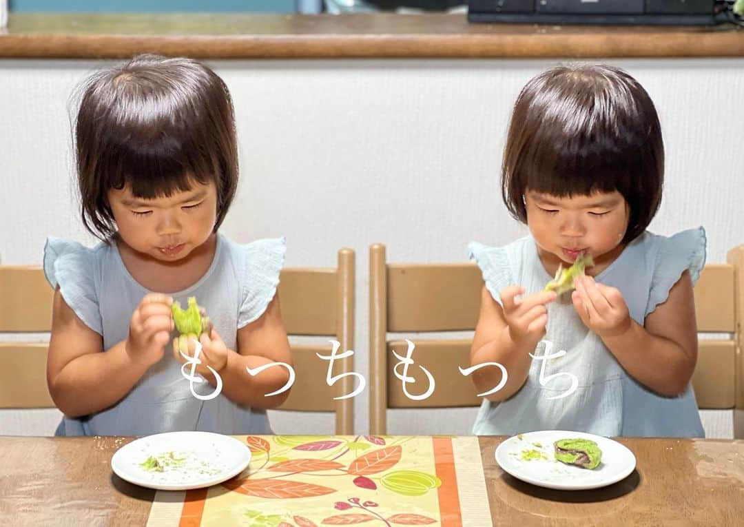 前田阿希子のインスタグラム：「双子は今日も食欲全開です😆  今日のおやつは奈良の大和茶大福専門店 『GRANCHA』の 『口福餅』を頂きました🤤  5段階の濃度違いの抹茶大福と 「番外」のほうじ茶を使った大福、 6つの味が楽しめます。  表面に新鮮なお抹茶がたっぷり付いているので、 口に入れた瞬間、鮮烈なお茶の香りが🤩 噛むと、やわやわなお餅の中から トロトロのあんこと抹茶クリームが出てきて、 苦味と甘味が最高のバランスです🤤 抹茶クリームで洋風な雰囲気もプラスされ、 おぉ...なんだかオシャレな味がする…🤩  6番のほうじ茶は 周りのほうじ茶パウダーと、 中のほうじ茶クリームがとてもいい香り。 甘みも感じつつ、煎りたてのほうじ茶の香りを 存分に楽しめました。 (コーヒーと合わせたら 種類は違いながらも香ばしさの二重奏を 堪能できました🤤）  さて、うちの双子は2歳にして抹茶味が大好き😅 （カフェインがなぁ…とか思っておりましたが、 なんだかんだと、大人のおこぼれをもらううち ハマってしまったようです😂）  双子は濃度の薄い1番、2番を頂きました。 嬉しそうにあっという間に完食🐥🐥 妹が先に平らげ、 大事に大事に食べていたお姉ちゃんの大福を サッと横取りしていました😂  弱肉強食？😂 ...とにかく気に入ったのね🤣  本格的だけどちょっと目新しいものを差し上げたいときに… 自分たちへのご褒美に...🤩 ぜひまた買いたい逸品でした🤤 ・ ・ ・  #大和茶大福口福餅 #GRANCHA#大和茶 #grancha#口福餅 #大和茶 #奈良スイーツ#抹茶スイーツ#お取り寄せ #双子#twins #双子のいる生活  #子どものいる暮らし  #sweets#japanesemochi」