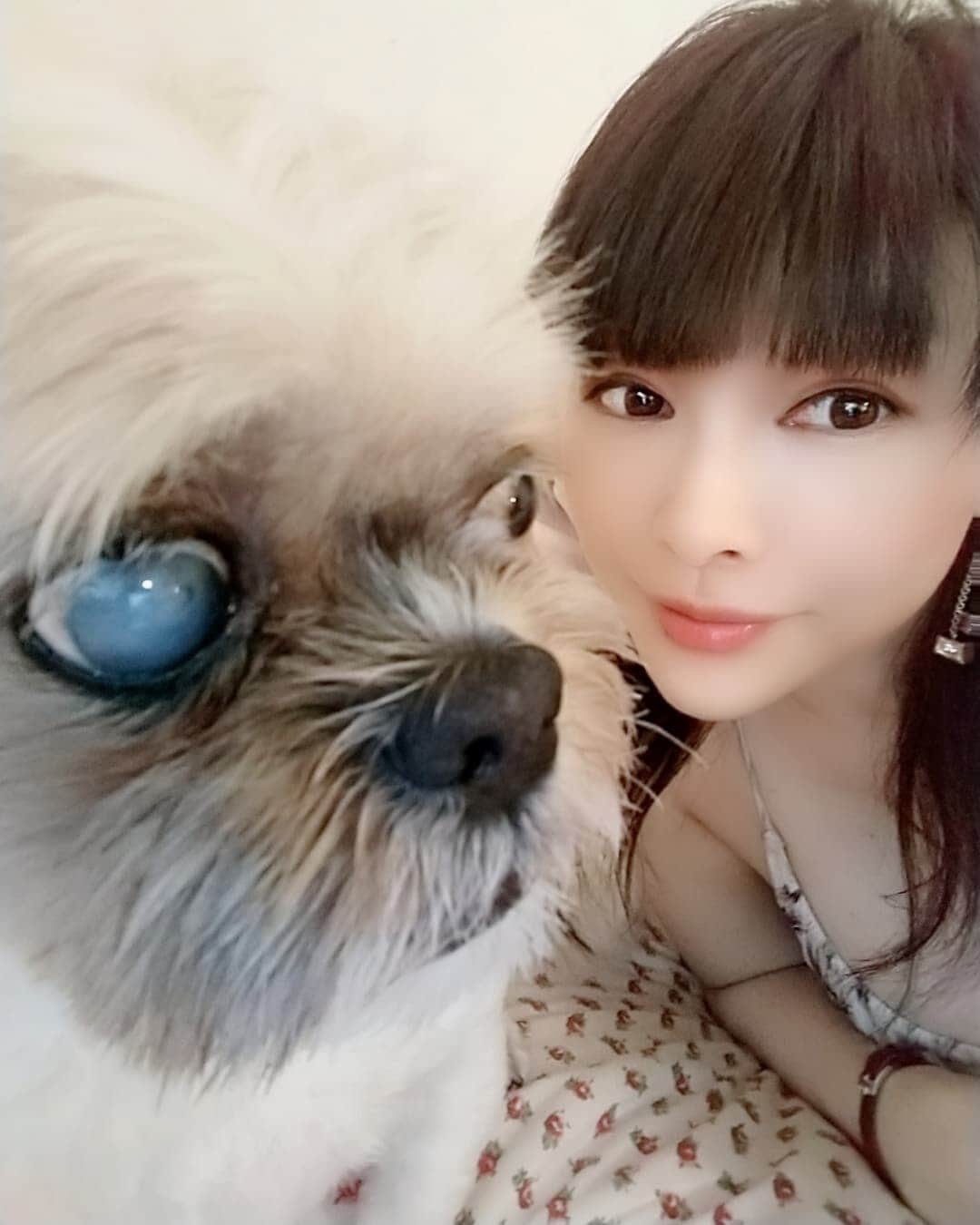 松坂南さんのインスタグラム写真 - (松坂南Instagram)「ご質問ありがとう(*^^*)💕  と、いうかシェル子🐕💓かぁ、、なかなかの美犬なので　それは撮ってあげてほしいけど、、通常の撮影会とかだとそれは難しいかなぁと。。 まず、スタッフが必要なのと（いや、万が一お願いできるにしても犬をみておくためのスタッフさんて私は申し訳なく思ってしまうので^^;） そして私が四六時中みていられる状況でもないし、、スタジオさんや他のタレントさんにも楽屋環境含めご協力いただくようになっちゃうから、、 どんなに一緒にいたくてもいかなる現場でも同行はしてないのよー💦  まぁ、だから撮影会というかたちじゃなく。。郊外でやるオフ会とかでタイミングよければ、、という感じになってしまうなー❗  もし、今後そういう機会があればよろしくね💓 ありがとう(*^^*)💕💕  今日はspaに行ってるわんくん🐕💓💓 そろそろ帰宅の予定🚘〜🎵」10月13日 17時58分 - minami_matsuzaka