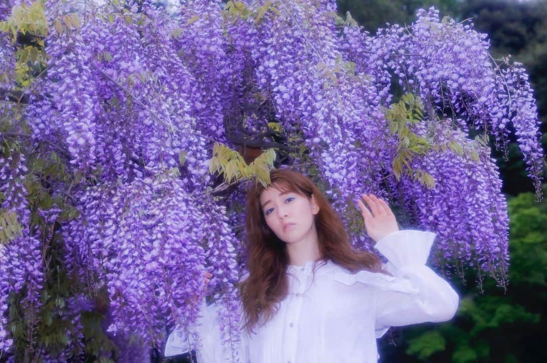 岡本杏理さんのインスタグラム写真 - (岡本杏理Instagram)「藤「恋に酔う」 #藤 #wisteria #紫藤花 #등꽃 #anrisflower」9月19日 22時26分 - anri_okamoto