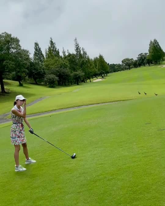 相川友希のインスタグラム：「⛳❤⛳❤⛳❤⛳❤🟨⛳❤⛳❤⛳❤ ❤⛳❤⛳❤⛳❤🟨🟨🟨⛳❤⛳❤⛳ ⛳❤⛳❤⛳❤⛳🟨🟨🟨❤⛳❤⛳❤ ❤⛳❤⛳❤⛳🟨🟨🟨🟨🟨❤⛳❤⛳ ⛳❤⛳❤🟨🟨🟨🟨🟨🟨🟨🟨🟨⛳❤ ❤⛳🟨🟨🟨🟨🟨🟦🟦🟦🟨🟨🟨🟨🟨 ⛳❤🟨🟨🟨🟨⬜🟦🟦🟦⬜🟨🟨🟨🟨 ❤⛳❤🟨🟨⬜⬜🟦🟦🟦⬜⬜🟨🟨❤ ⛳🟩⛳🟨🟨⬜🟫⬜🟦⬜🟫⬜🟨🟨⛳ 🟩🟩🟩🟨🟨⬜🟫⬜⬜⬜🟫⬜🟨🟨❤ ⛳🟩⛳🟨🟨⬜⬜⬜🟧⬜⬜⬜🟨🟨⛳ ❤⬜⬜⬜🟩🟩🟩🟫🟫🟫🟩🟩🟩⬜⬜ ⛳⬜⬜⬜🟩🟩🟩🟩🟨🟩🟩🟩🟩⬜⬜ ❤⛳❤⛳❤⛳❤🟩🟩🟩⛳❤⛳❤⛳ ⛳❤⛳❤⛳❤⛳⬜⛳⬜❤⛳❤⛳❤ ❤⛳❤⛳❤⛳🟦🟦❤🟦🟦❤⛳❤⛳  #モバりん　#すごーい　#いつかの動画　#ゴルフ」