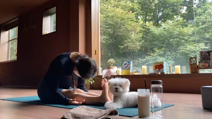 パーク・ファン・ヒーのインスタグラム：「3kg 증량🧘🏻‍♀️💕 그러나 뻣뻣해진 근육  계속 삐뚤어지는데 스스로 인지하지 못해서  옌쌤이 계속 바로잡아주셨다. 항상 감사해요 옌블리. @yenyogastory」