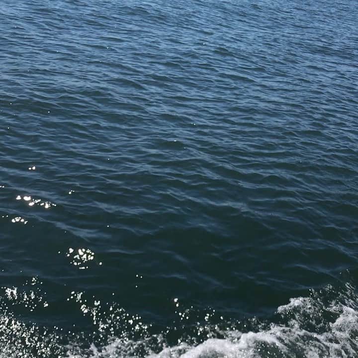 TOKYO WATER TAXIのインスタグラム：「おはようございます☀ 東京水辺は抜けるような青空！  爽やかな風が心地よいです。 これから日本橋へ。 両国にもお客様をお迎えに参ります^_^   Tokyo2020トライアスロンの競技会場だったお台場海浜公園は 撤収作業が終わり、今日からまた水上に入れるようになります。  お台場の桟橋も利用再開となります。  #tokyowatertaxi #お台場 #お台場海浜公園 #秋晴れ #シルバーウィーク #水辺 #休日レジャー #プライベートチャーター」