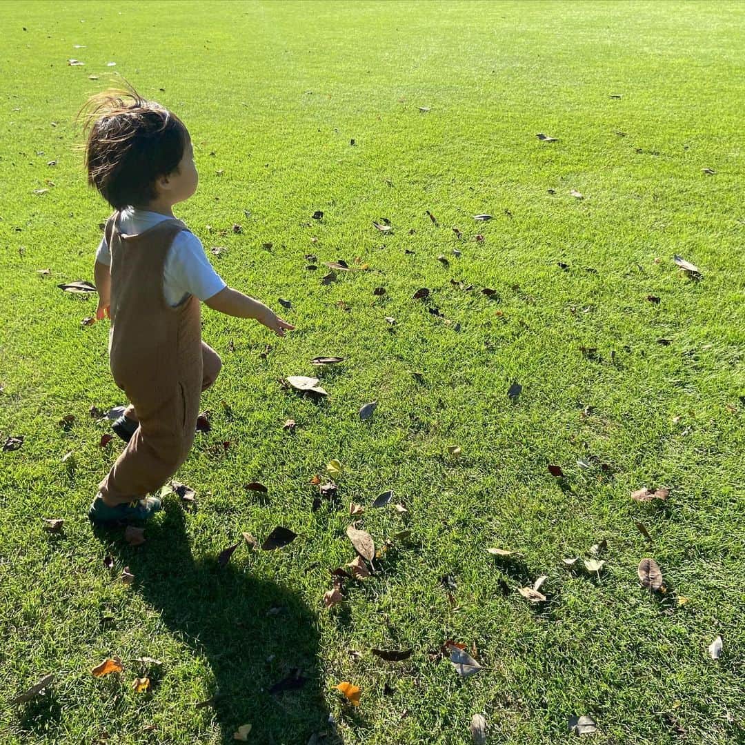のインスタグラム：「今日は夏と秋が混ざり合い、最高のお天気でしたね。絶好の公園日和。子は亀が気になり、私は銀杏が気になり。拾いたい思いをグッと我慢しましたが…銀杏、大好物なもので🤤 秋の味覚、楽しみたいですね〜。」