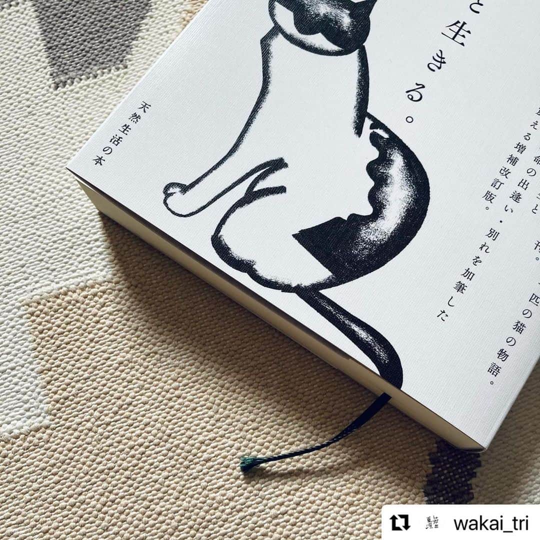 猫沢エミさんのインスタグラム写真 - (猫沢エミInstagram)「「猫と生きる。」いよいよ9月24日の発売日が近づいてまいりました(*✧×✧*)   装幀デザインは「ねこしき」に引き続き、若井夏澄さん。文字組みからカヴァーに至るまで、すべて一発OKの集中力の高いさすがのお仕事ぶり。  今回、執筆世界で喪の仕事をしていたのが私なら、夏澄さんはデザインの世界で喪の仕事をしてくださった。  装幀デザイナーさんの創作過程の心持ちってなかなか聞くことが少ないから、ぜひ皆さんがこの本を手に取って、モノとしても素晴らしさを感じて頂いたときに、夏澄さんの言葉を思い出して頂きたくリポストします。  今回、特別な状況と心情があったこの本の素晴らしいお仕事に、心から感謝します。  夏澄さん、ありがとう✨  #猫沢組　#猫沢ピキ　#イオちゃんフォーエバー  #Repost @wakai_tri with @make_repost ・・・ 【お仕事】 『猫と生きる。』（猫沢エミ 著／扶桑社）のデザインを担当しました。  8年前に出版された、猫沢さんの最初の愛猫ピキさんとの出会いから別れをメインに綴った本にたっぷり「今」を加筆した復刊本で、本来ならば初版のデザインを手がけ、猫沢さんの親友でもある真舘嘉浩さんが引き続き担当するはずだった。それが、すでにこの本の再版が決まっていた今年の春、本当に突然帰らぬ人となった。 そんな事情を伺いながらお声がけいただいたとき、なんという重責!!!!と恐れおののいたのだけれど、そもそも代わりなどできないのだし…と思い至ったら、良い加減のパワーがみなぎった。  真舘さんのデザインへのリスペクト。 のうえで残すところと新しくするところ。 そのバランスは自然に決まり、迷いなくまっすぐに進めた感じがする。 データって結構つくった人が見えるものだけれど、お会いしたことのない真舘さんのデータはとても明快で丁寧で、スッと馴染んだものだから。 これはちょっと特別で、忘れられない経験。  ＊ カバーに使わせてもらったのは、イラストレーター鈴木さや香さんの描いた彼女の愛猫ヘリさん。 ぴたっとおさまった瞬間、ヘリさんは誰でもなくて誰でもあるような存在として、本の顔になった。  ちなみにさや香ちゃんは大学からの友人で、唯一無二の作風を追求し続ける姿勢を尊敬しつつ、いつかなにかピタッとくるお仕事を一緒にしたい！とずーーっと願っていたのだけれど、こんなにぴったりな機会がめぐってくるなんて！と、ちょっと感動でした。  ＊＊ 人生も折り返しという年代にさしかかり、今後「見送る」ということは否応なしに増えるだろう。そんな未来にこの本があるのは心強いことだ…と思う。  9月24日発売です。ぜひ！！  追伸：しっぽになった！→最後の写真  #猫と生きる #猫沢エミ #扶桑社 #天然生活の本 #鈴木さや香 #デザインの仕事 #bookdesign #ブックデザイン #装丁 #wakazworks」9月20日 15時50分 - necozawaemi