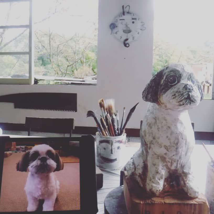 浜島直子さんのインスタグラム写真 - (浜島直子Instagram)「みなさんこんにちは🐶  犬柱のぼくに　ついに　継子ができました🐶  ぼくは　犬柱として　まいにち　とてもいそがしいので  げんかんの　みはりは　ぼくの継子に　やってもらうことにします🐶  これでぼくは　ゆっくり　ゆめのなかを　パトロールできます🐶✨  みなさんも　がんばってください🐶✨✨ ・ 造形作家のキンタさん( @kinta_studio0105 )に創ってもらった木彫りのピピちゃん。 益子からはるばる我が家へやってきました。 もう、もう、そっくりすぎて、その佇まいの愛らしいこと😭✨🐶❤️ キンタさんが真心込めて丁寧に創ってくださった温もりも伝わってきて、しみじみと、じんわりと、素敵だなぁと感じます🥰 (写真6〜8枚目の写真はキンタさんが送ってくださった創作過程。9枚目は完成！キリッとした瞳がオヤツをおねだりする時と同じ🤣❣️)  いやー、我が家の宝物だわ✨  キンタさん、本当にありがとうございます🙏💕 紹介してくれた赤松さんも、ありがとう〜💋 ・ #キンタさん #kinta #kintastudio  #アーティスト #造形家 #造形作家 #木彫り #オブジェ #宝物 #家宝 #守り神 #ピピちゃん #シーズー #元保護犬」9月20日 15時58分 - hamaji_0912
