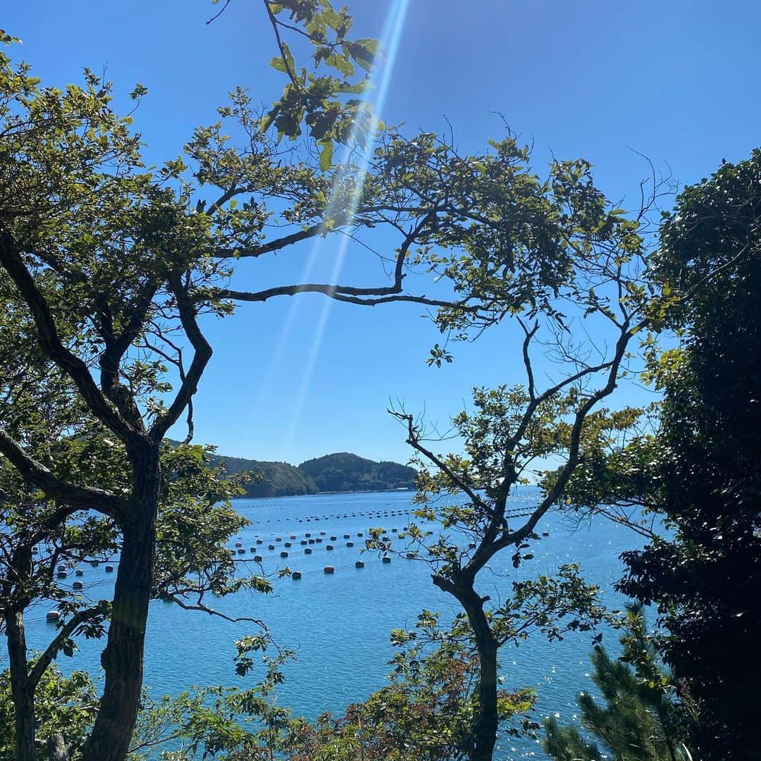白石小百合さんのインスタグラム写真 - (白石小百合Instagram)「. 海を眺めるのが好きすぎる人💙💙💙  宮城番外編〜松島の絶景と石巻のエメラルドグリーン💙💚  不思議な形をした島とか、養殖の風景とか、太陽の光でキラキラした水面とか💙気がついたら海の写真をたくさん撮っていました☺️✨✨✨  秋の気候が季節で一番好きです🧡良い週末を！  #宮城旅  #海 #海が好き  #笑顔にサングラス跡 #ノーフィルターでお届けします  #お気に入りのショール  #お気に入りのイヤリング #お気に入りのサングラス　 #着用率高めコーデ」9月20日 17時12分 - sayurishirais