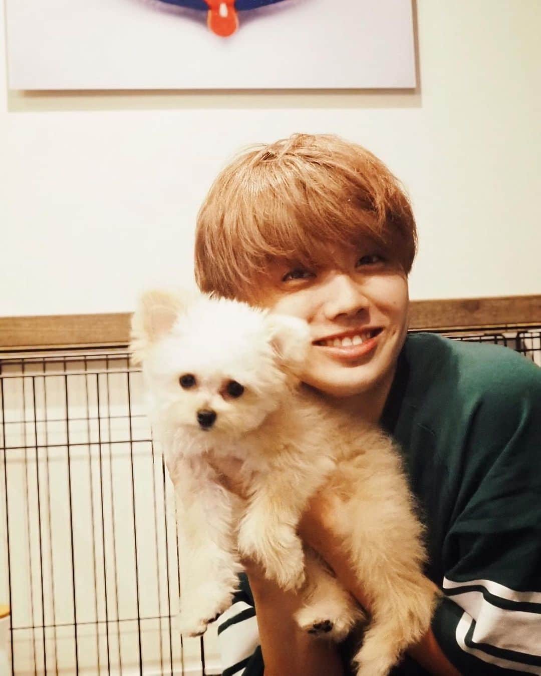 のインスタグラム：「🐶」