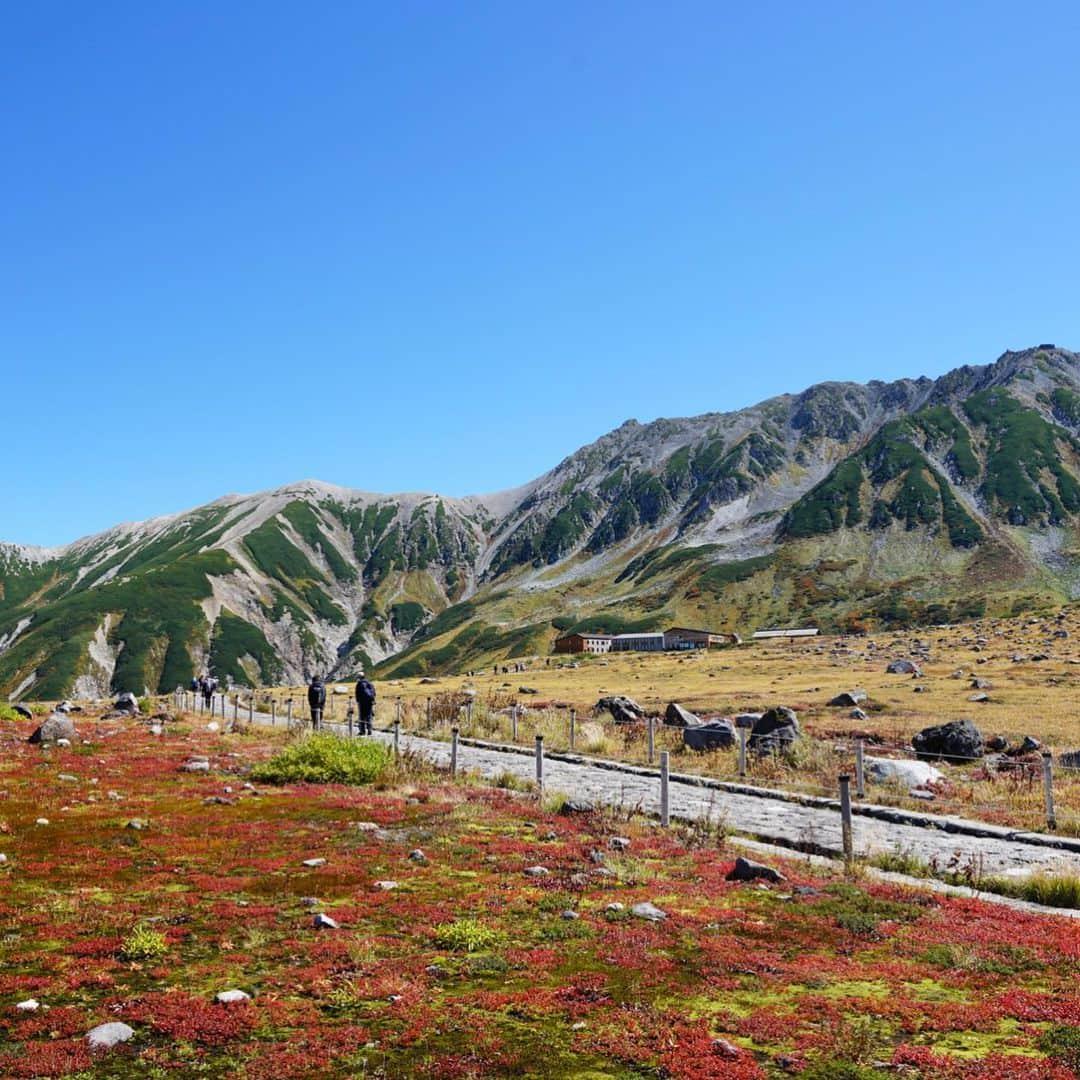 飛河蘭のインスタグラム：「はじめて！！念願の！！！ 立山黒部アルペンルートに行ってきました🏔 こんな山の景色は今後一生無いかもしれないくらい珍しい快晴☀️ 標高3000mの世界は常に雲の上で本当に素敵でした。 行ったことない人にはめちゃめちゃ勧めます！！ 登山しなくても行くだけで価値がある👍🏻👍🏻👍🏻👍🏻👍🏻  立山の上に神社があるとは知らず、御朱印帳を持っていかなかったから絶対もう一回行くわ！ 次はまた違う山にチャレンジしたいな🏔  #立山黒部アルペンルート #立山登頂 #百名山チャレンジ #山女」