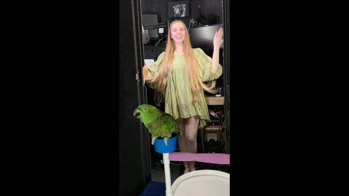 ダーシー・ローズ・バーンズのインスタグラム：「Mr. Greenburd wanted to join practice. He’ll… he’ll work on getting the words right.  • • • #wicked #glinda #parrot #singing #music」