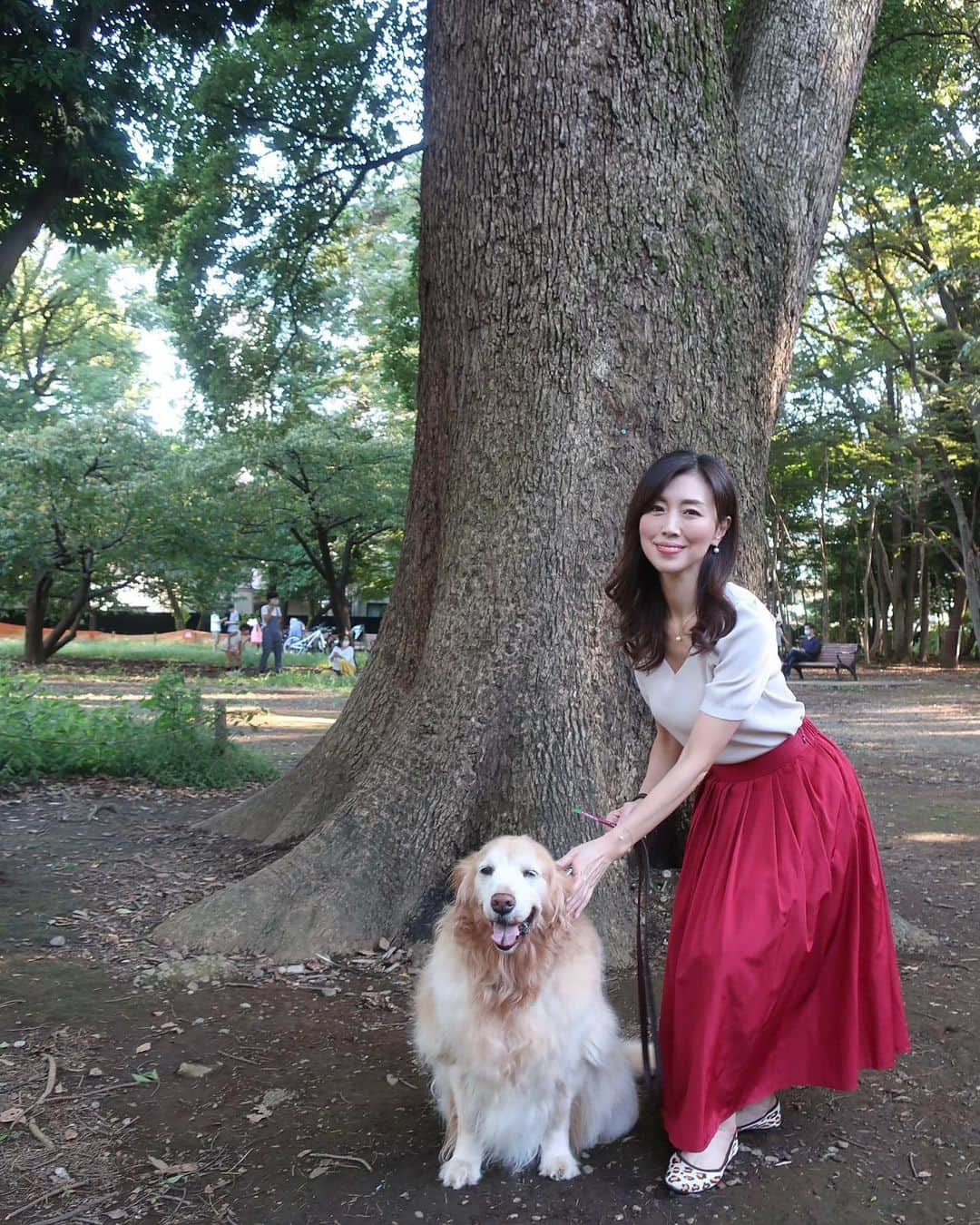 ImotoEtsuyo さんのインスタグラム写真 - (ImotoEtsuyo Instagram)「#林試の森公園 へ。 ・ ・ #愛犬  #ココア と#散歩  ・ #カメラ目線 が欲しくて #いなば #わんちゅーる を手に♡ ・ ・  #ゴールデンレトリバー  #goldenretriever  #goldenretrieversofinstagram  #dogstagram  #dogsofinstagram  #doglover  #smile  #love  #happy  #かわいい  #10歳 #大型犬  #大型犬のいる生活  #大型犬のいる暮らし  #元気 で#長生きしてね  #彼岸花  #公園  #公園フォト  ・ #fashion  #tops ➡︎ @lialapg  #skirt ➡︎ @sharesgarden  #shoes ➡︎ @vivaia_official」9月21日 6時15分 - bisuhada