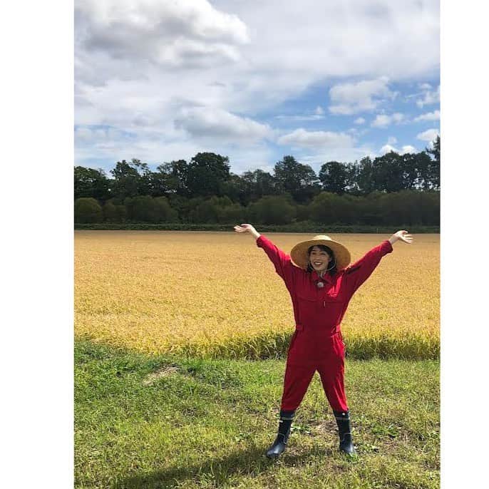 高橋春花さんのインスタグラム写真 - (高橋春花Instagram)「今週末のHTBまつりのために 室岡アナが考案中の “米に合うシチュー”の “米”をわたしが探してきました😆 取材先の農家さんのオススメ ご飯に合う手作りおかずも 教えてもらいましたよ。 とっても楽しいロケでした🥺 明日（水）15:45からのイチオシ‼︎で 放送されますのでご覧ください。 ただ、明日イチオシ‼︎出演予定なのですが… 今日ワクチン2回目打ちました。 無事にお伝えできるのでしょうか。 #HTBまつり #9月24から26日 #イチモニ#イチオシ #室岡里美#高橋春花 #アナウンサー #HTB」9月21日 16時32分 - htb_takahashiharuka