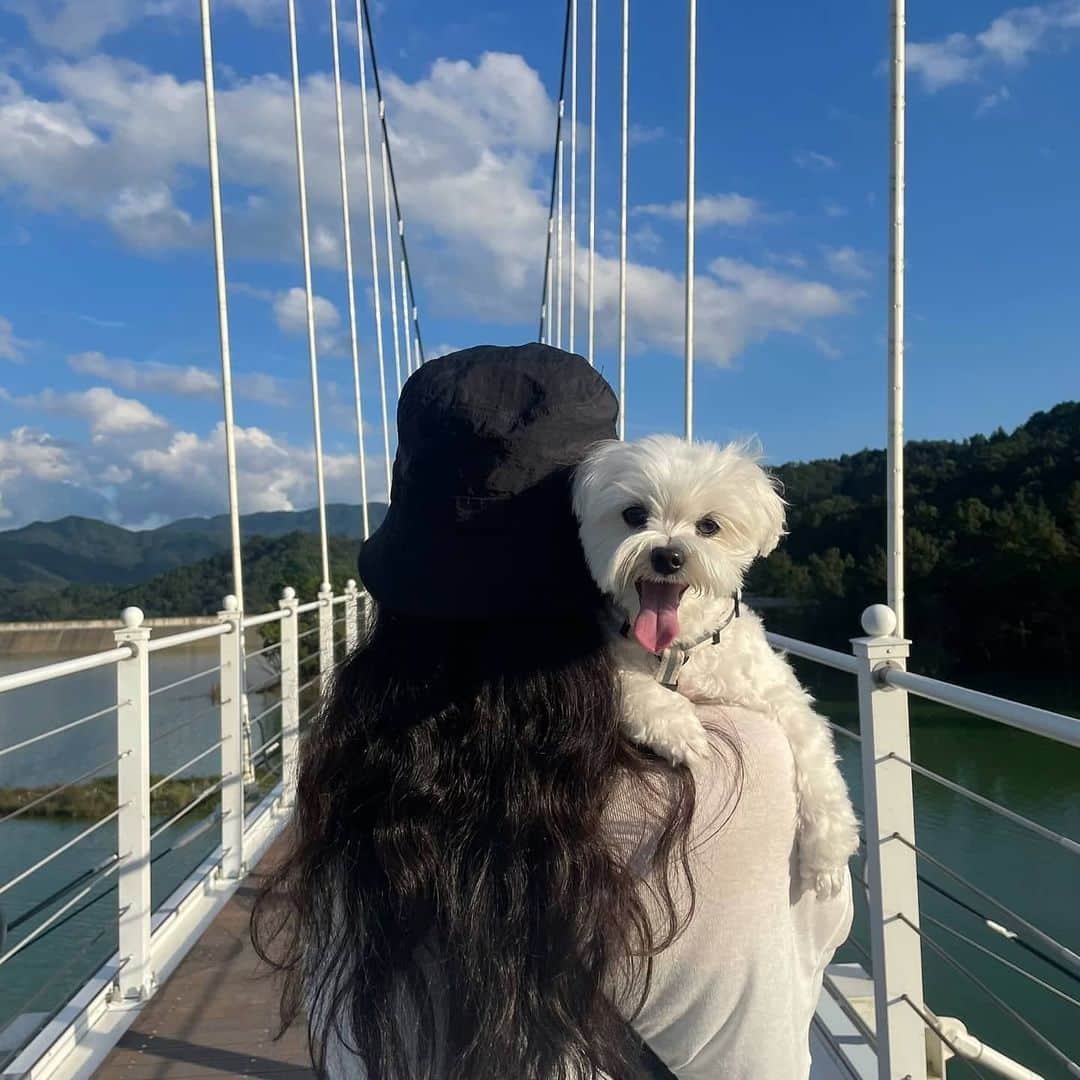 minikkallongのインスタグラム：「😍🐶 #빙수스타그램#반려견#딸래미#말티즈#강아지#멍스타그램」