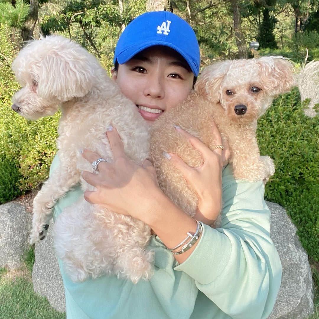 のインスタグラム：「Home!!!!! With my cuties🐶🐶🐶 강쥐목도리 해쏘요😍 #강쥐언니 #피카샛별강북리아🐶 #샛별강쥐는집에서코자는중」