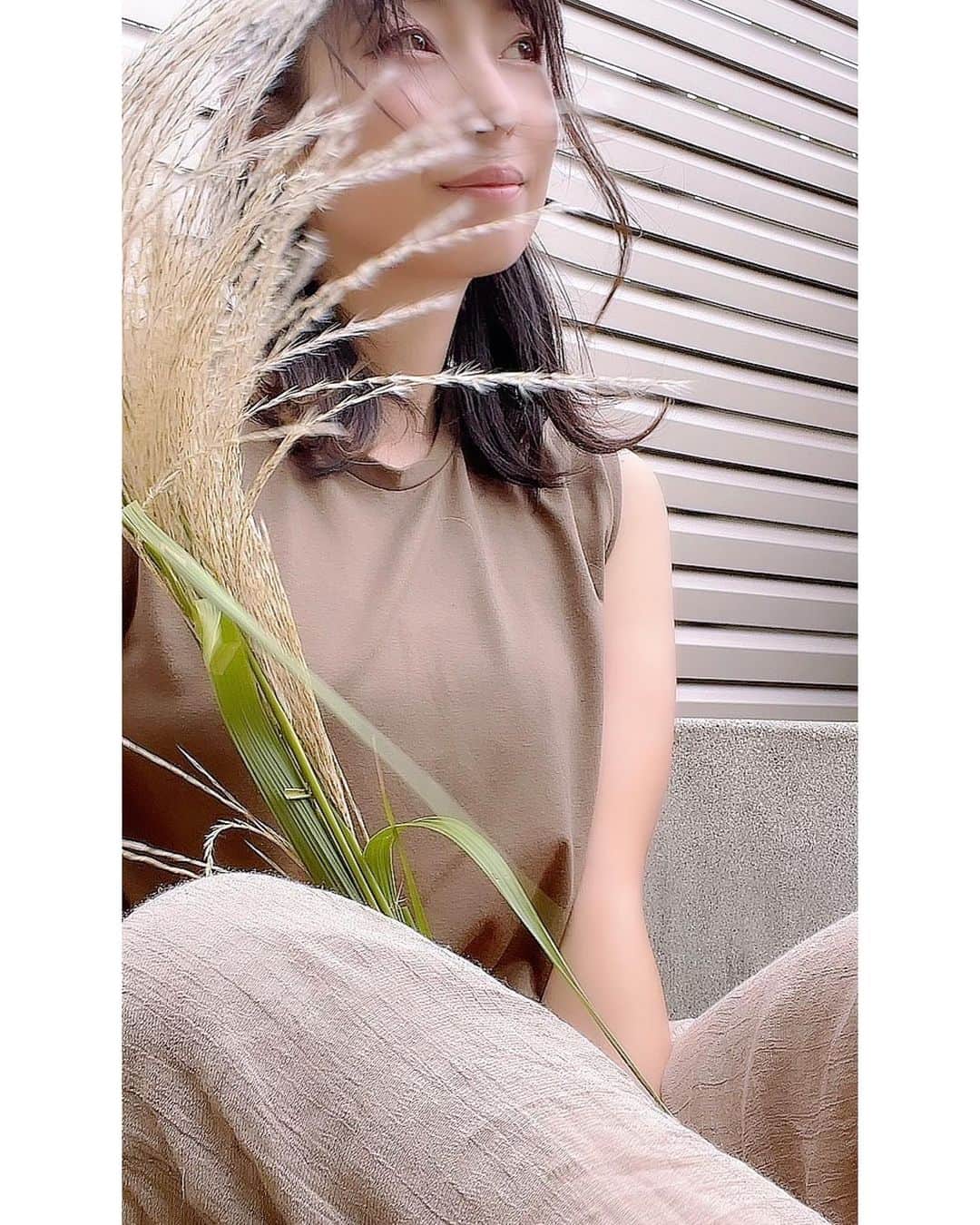 のインスタグラム：「・ ・ ・ おつきさま、見えそうもないや。 残念。 みなさんのところは晴れてますか？ ８年ぶりの満月での中秋の名月。 見たかったなー。 昼間は日光浴できるくらいのお天気だったのに。 すすきもお団子も用意したのになー。 残念(´•̥ω•̥｀) 美味しい緑茶入れてお団子食べよ。 ・ ・ #月より団子 #満月どこ #どこどこどこ」