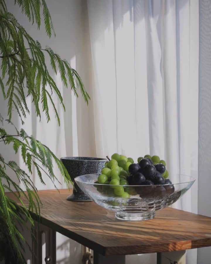 si ouxのインスタグラム：「grape🍇  父から葡萄が届いた。私の大好物です。 ここ数年、誕生日の時期に送ってくれるのを楽しみにしていて今年は忘れられたかなと少ししょんぼりしていたので嬉しい。 ⁡ 昨年、安住紳一郎の日曜天国で絶賛されており気になっていたナガノパープルが入っているではないですか。 巨峰の皮ごと食べられるバージョン。 あの煩わしい皮剥き作業と噛んだら苦いタネからの解放。ありがとうございます。 ⁡ 「ぶどう味」に目がない私だけれど、ブドウ味は本物のぶどうと同じ味なんだな〜と丸ごとを味わうことで理解。 皮と身がセットになるとブドウ味になる感じ？ ⁡ いい名前だよね「ナガノパープル」って。 長野のパープルて。センスがいい。 シャインマスカットも最高なんだよな〜 味も名前も。シャインて。どうして。 ⁡ 一生食べてたい。 #ナガノパープル #シャインマスカット」