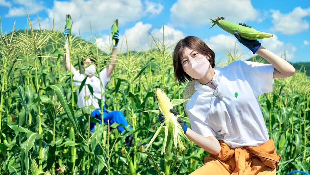 福田太郎のインスタグラム：「to HTBまつり 🌽 from イチモニ！農園 🍆 シェフ室岡による、ご飯に合うシチュー作りがスタート！ 立派に育ったお野菜を求め、田口アナと畑に行ってきました☀️ ⠀ 今回アドバイスを求めるのは… あの激戦を勝ち抜いた、ドラゴンなシェフ🐉 夢コラボが実現！あすの放送、ワクワクが止まりません🐲🔥 ⠀ #HTBまつり ✖︎ #イチモニ農園 #シェフ #室岡里美 将来の夢は #食堂 #農業 #アナウンサー #田口彩夏 #福田太郎 #アグリアクション北海道 👩‍🌾👨‍🌾 #パラレルノーカー #jaグループ北海道」