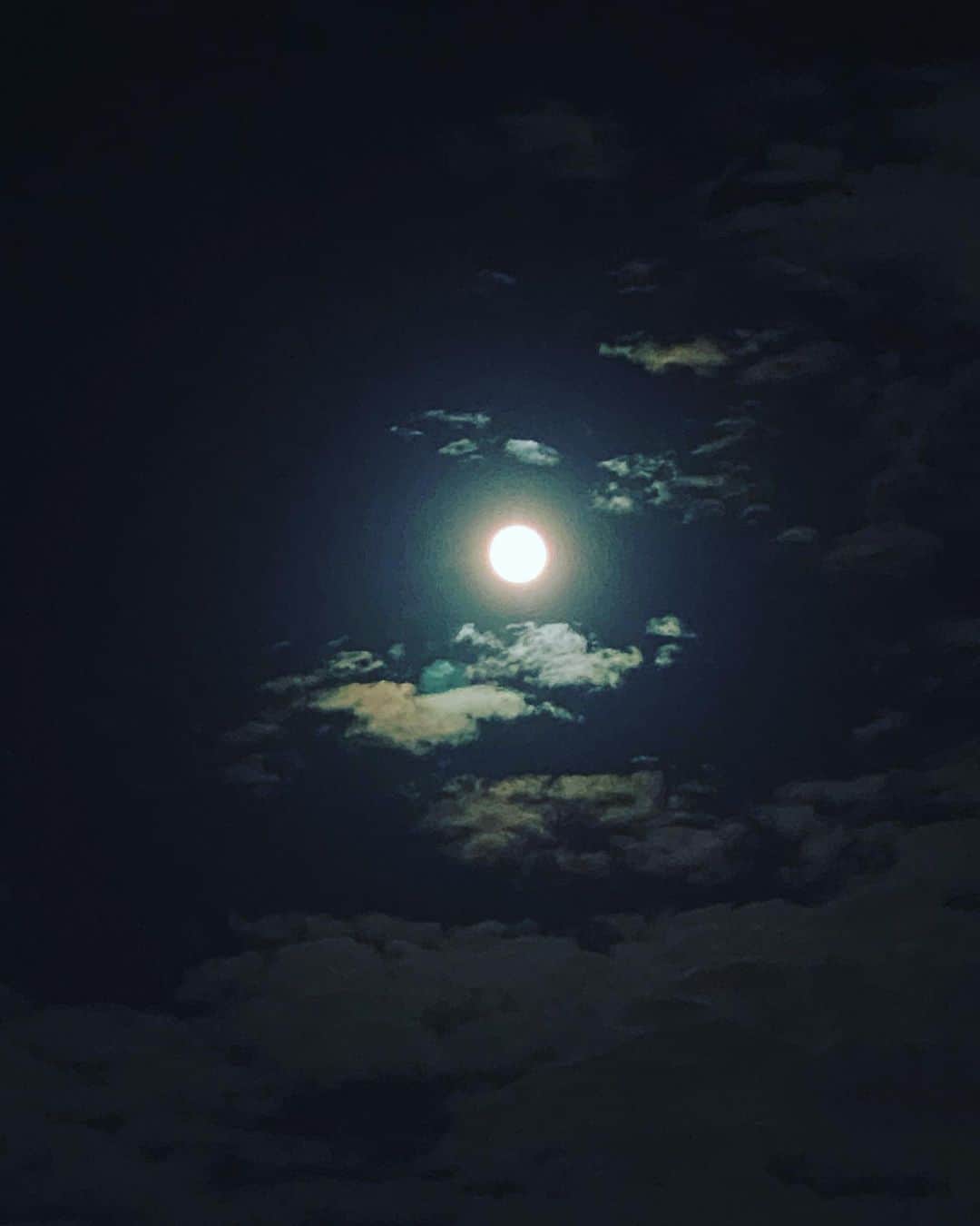 観月ありささんのインスタグラム写真 - (観月ありさInstagram)「観月にかけて。満月を観る。 中秋の名月。鑑賞。  #観月ありさ #中秋の名月  #満月 #鑑賞」9月21日 20時22分 - alisa_mizuki