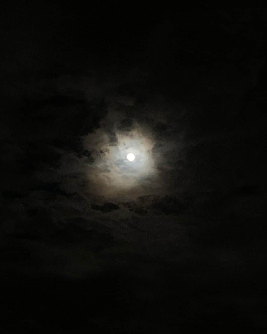 太田紅葉さんのインスタグラム写真 - (太田紅葉Instagram)「#中秋の名月    実家の縁側には、祖母がお供え物を飾っていました！  今日の #満月 は雲の間からチラチラ。 なかなか、しっかり姿を見せてくれませんね…  お月見団子食べながら、ゆっくりお月様が出てくるのを待ちたいと思います🌕  お月見泥棒　太田紅葉  #DaiichiTV #静岡第一テレビ #アナウンサー #女子アナウンサー #女子アナ #太田紅葉 #紅葉 #静岡県 #静岡  #日テレ  #instagood #十五夜 #4コマ漫画 と思いきや 5枚目も🌕」9月21日 21時08分 - kurehaota_