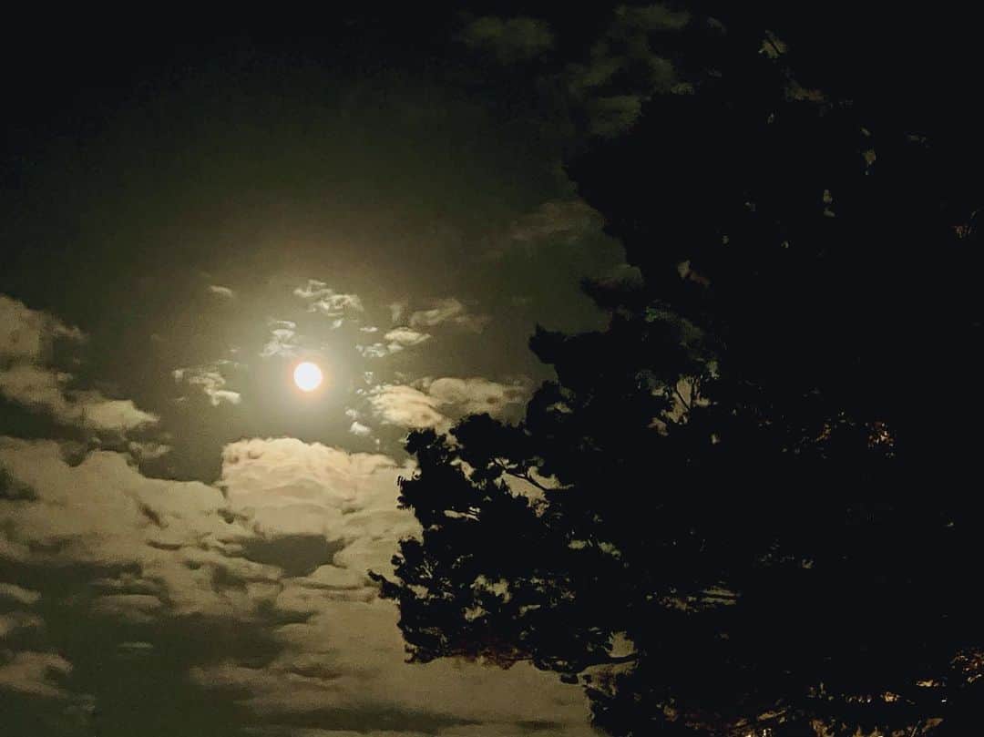樋口柚子のインスタグラム：「お疲れさま火曜日〜〜〜🌕 みんな中秋の名月見たかな☺️？ 私は少し散歩して、見てきました。 夜は風も涼しくて気持ちよかった〜🍃」