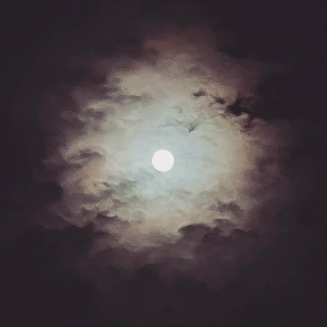 高島礼子さんのインスタグラム写真 - (高島礼子Instagram)「お月様🌙きれいですね スマホでもこんなにきれいに撮れるんですね  #月 #満月 #きれい #空」9月21日 22時44分 - reico.official