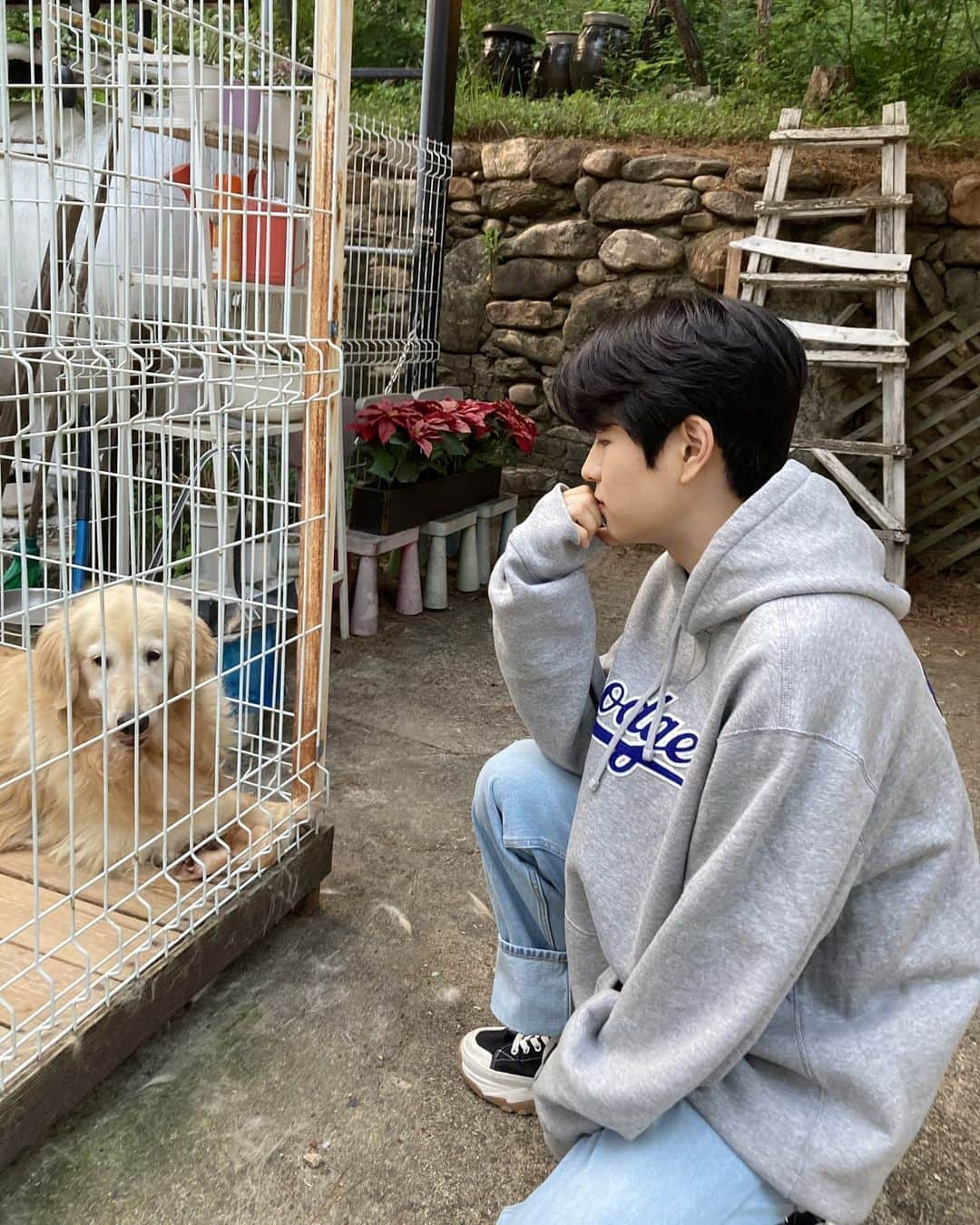 Stray Kidsさんのインスタグラム写真 - (Stray KidsInstagram)「내가 더 고마운 하루🥰 🐶🤍  #승스타그램」9月22日 0時36分 - realstraykids