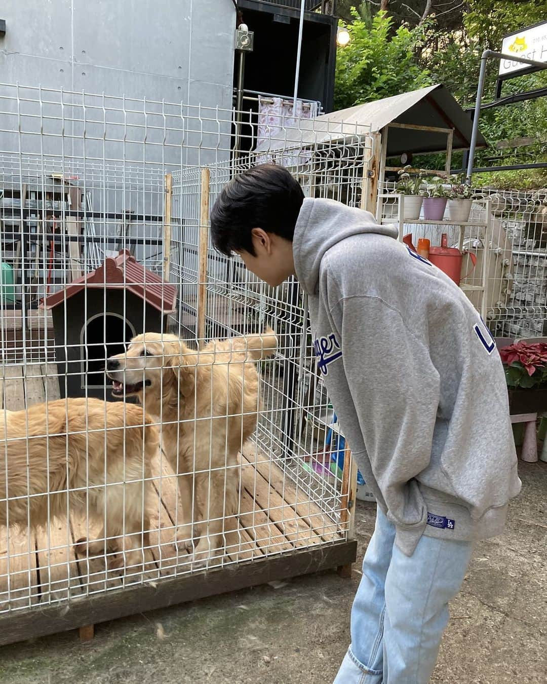 Stray Kidsさんのインスタグラム写真 - (Stray KidsInstagram)「내가 더 고마운 하루🥰 🐶🤍  #승스타그램」9月22日 0時36分 - realstraykids