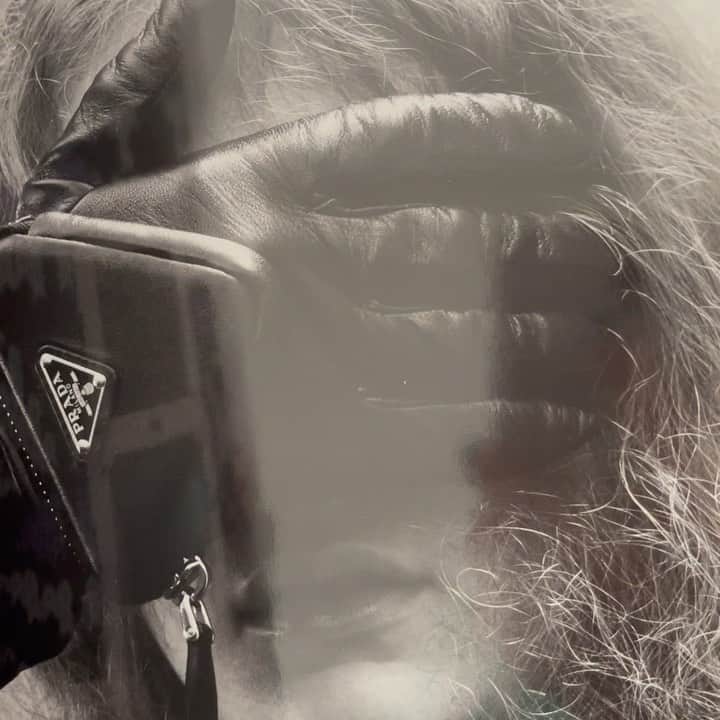 Linda Tolのインスタグラム：「#FeelslikePrada @prada」