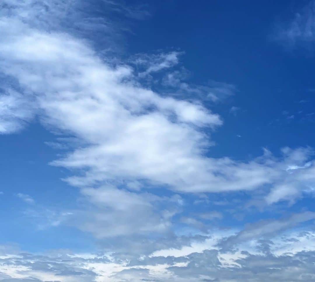 國本未華さんのインスタグラム写真 - (國本未華Instagram)「ふと見上げた空に浮かぶクリオネ…？ #見えるかな  #雲 #クリオネ」9月22日 10時24分 - kunimoto_mika