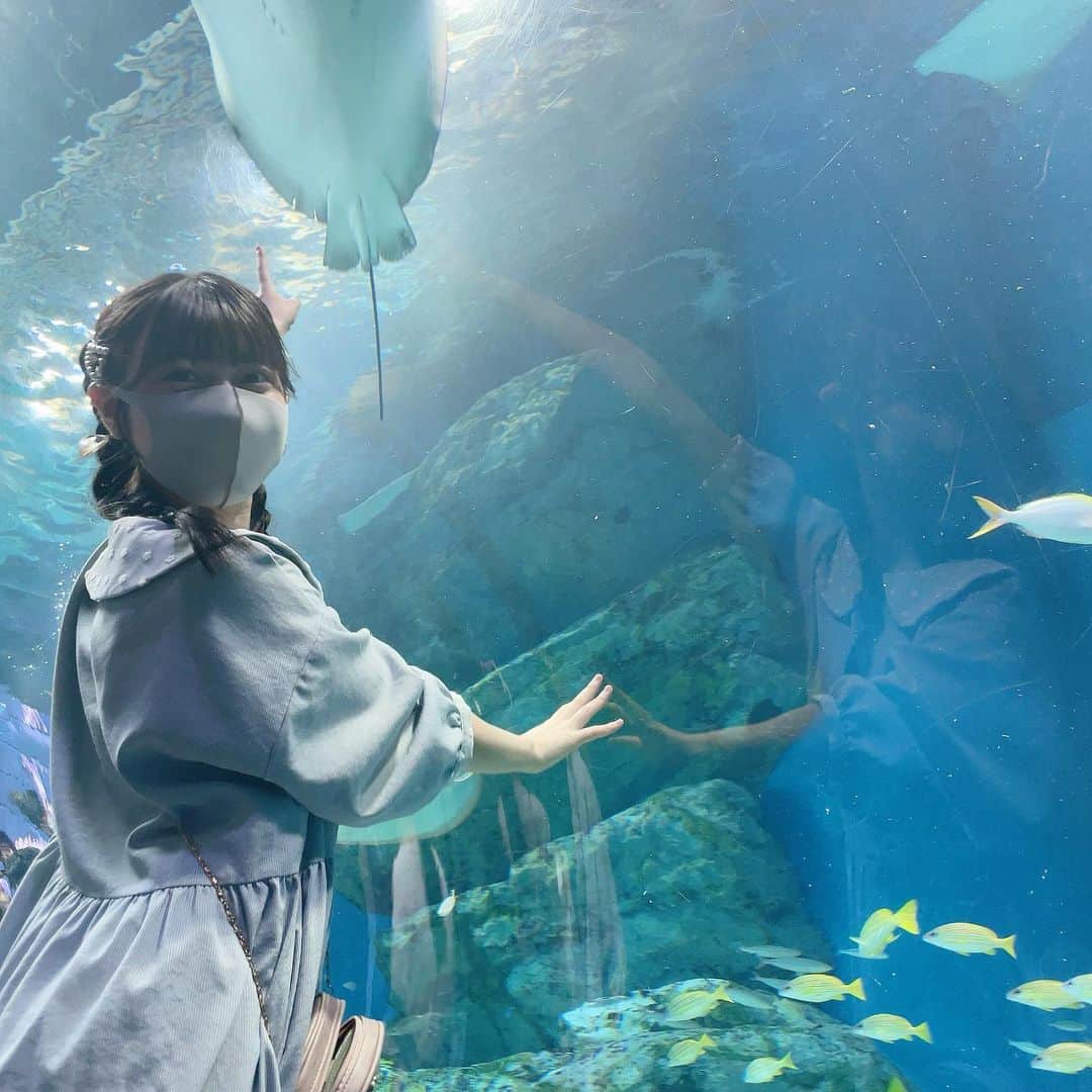 竹内月音さんのインスタグラム写真 - (竹内月音Instagram)「彼女と水族館なうに 使っていいよ🐟🐟」9月22日 13時58分 - takeuchi_tsukine