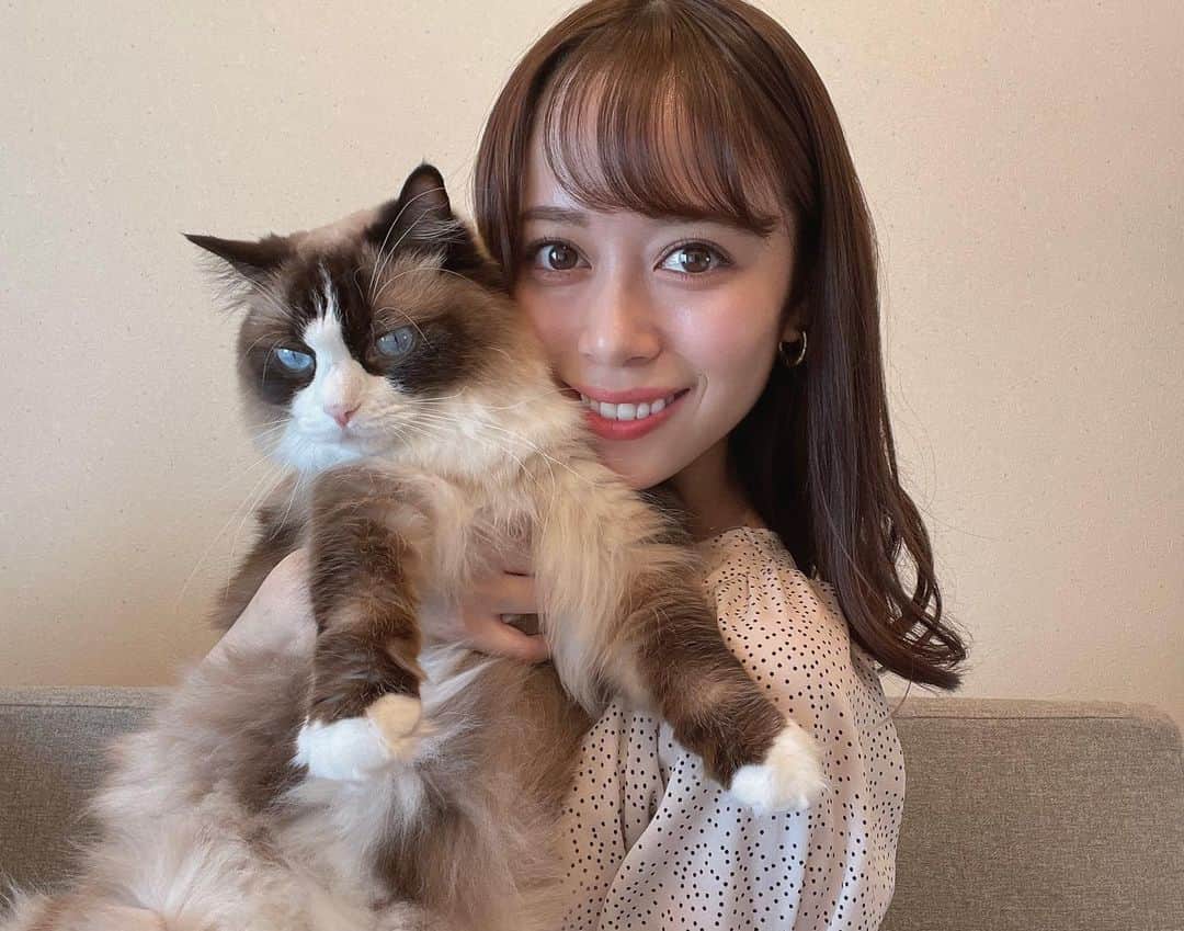 國嶋絢香のインスタグラム：「♡  久しぶりに🤣ちゃんとお化粧💄をしたので✨ 可愛い娘たちと撮ってみました🐶🐱💞  【 @shellytomani.co.jp 】 　👆こっちには動画を載せてみたよっ  #シェリーとマーニ #どっちもかなり迷惑そう😂 #付き合ってくれてありがとね❤️ #犬と猫のいる暮らし」