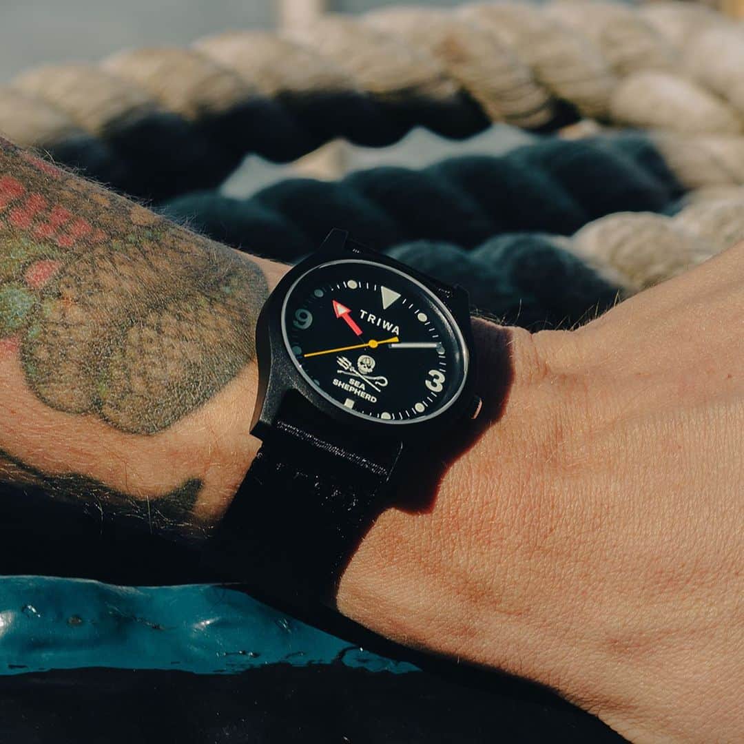 TRIWAさんのインスタグラム写真 - (TRIWAInstagram)「TRIWA x @seashepherd is now available on triwa.com 🌊 🐋  Developed as a homage to our oceans and to be part of the solution, this limited timepiece is made from recycled ocean plastic proudly provided by @tide_oceanmaterial and actively contributes to Sea Shepherd’s ocean conservatory mission. 15% goes back to Sea Shepherd's operation. ⠀⠀⠀⠀⠀⠀⠀⠀⠀ #seashepherd #watch #watches #collab #saveoceans #foroceans #recycled #upcycled #sustainable #sustainablefashion #ethicalfashion」9月22日 22時02分 - triwa