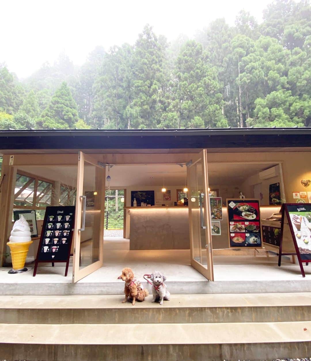照井和希さんのインスタグラム写真 - (照井和希Instagram)「愛犬とお出かけ in 京都⛩  先日くまもちゅ連れて京都の神社巡りへ行って来ました🐾 愛犬と行けるカフェも沢山あって 自然の匂いを楽しみながらのお散歩もできて 飼い主＆わんこ共々楽しめた1日でした🤎🤍  カフェや愛犬と行くお出かけスポットは くまもちゅのアカウントで更新しているので 良かったら参考にして下さい☺️🐾  『  @kumamochuyu 』  この日着てたワンピースは ヨンアさん @youn1029  のブランド @coel.official のものです♡ お気に入りすぎてずっと愛用してます🧸🐾  ． ． ． #coel #ワンピース #京都 #愛犬とお出掛け #いぬすたぐらむ #トイプードル #トイプードルレッド #トイプードルシルバー #関西わんこ #京都カフェ #京都観光 #貴船神社 #貴船川床 #貴船ランチ #京都グルメ #愛犬と旅行 #いぬとの暮らし #kyoto #多頭飼いの幸せ #といぷーどる部 #エアバギー #ペットカート」9月22日 16時44分 - kazu24ki