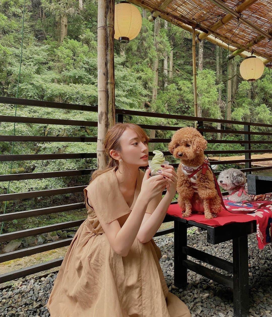 照井和希のインスタグラム：「愛犬とお出かけ in 京都⛩  先日くまもちゅ連れて京都の神社巡りへ行って来ました🐾 愛犬と行けるカフェも沢山あって 自然の匂いを楽しみながらのお散歩もできて 飼い主＆わんこ共々楽しめた1日でした🤎🤍  カフェや愛犬と行くお出かけスポットは くまもちゅのアカウントで更新しているので 良かったら参考にして下さい☺️🐾  『  @kumamochuyu 』  この日着てたワンピースは ヨンアさん @youn1029  のブランド @coel.official のものです♡ お気に入りすぎてずっと愛用してます🧸🐾  ． ． ． #coel #ワンピース #京都 #愛犬とお出掛け #いぬすたぐらむ #トイプードル #トイプードルレッド #トイプードルシルバー #関西わんこ #京都カフェ #京都観光 #貴船神社 #貴船川床 #貴船ランチ #京都グルメ #愛犬と旅行 #いぬとの暮らし #kyoto #多頭飼いの幸せ #といぷーどる部 #エアバギー #ペットカート」