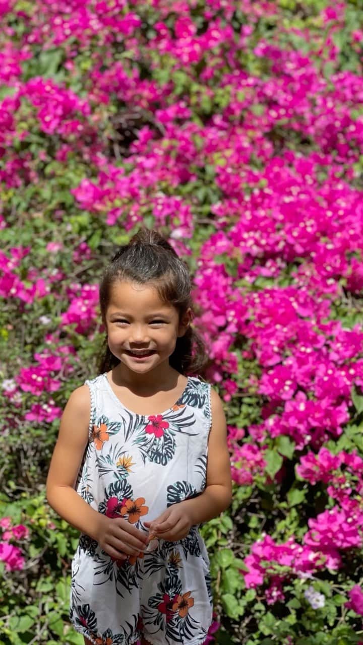 エリナ シルカのインスタグラム：「Took the 2 mile loop around the beautiful botanical gardens on the east side of Oahu.🌺 We thought we could get by with the stroller on the gravel path…it gets a little more rocky as you go so no stroller would have been better 😬」